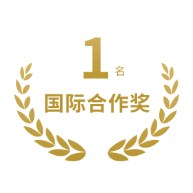 鍥介檯鍚堜綔濂